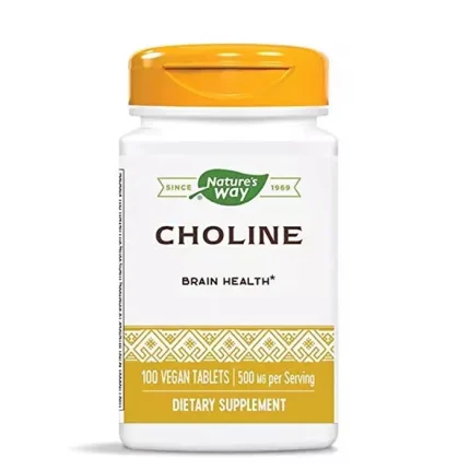 nature's way choline tablets in yellow bottle
